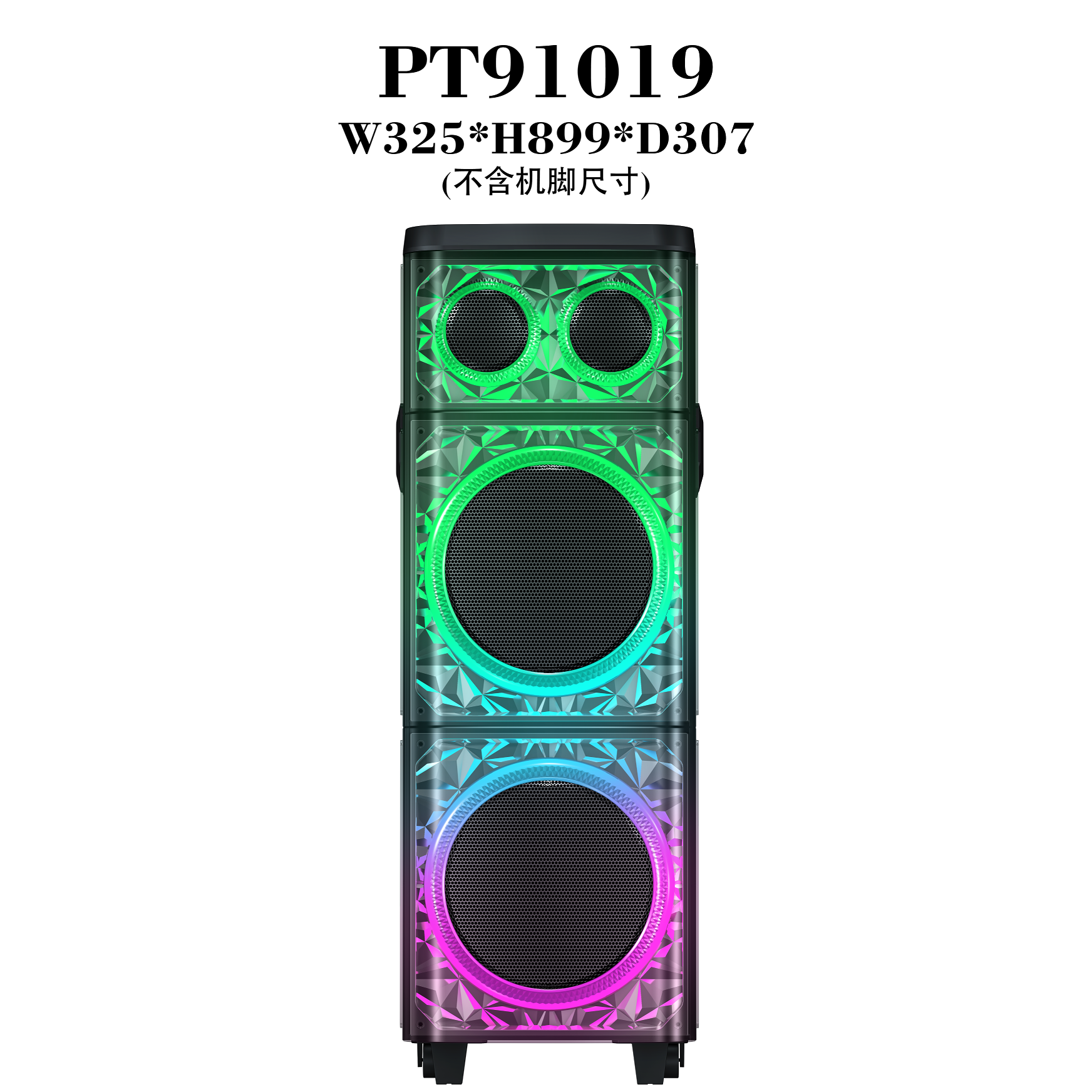PT91019