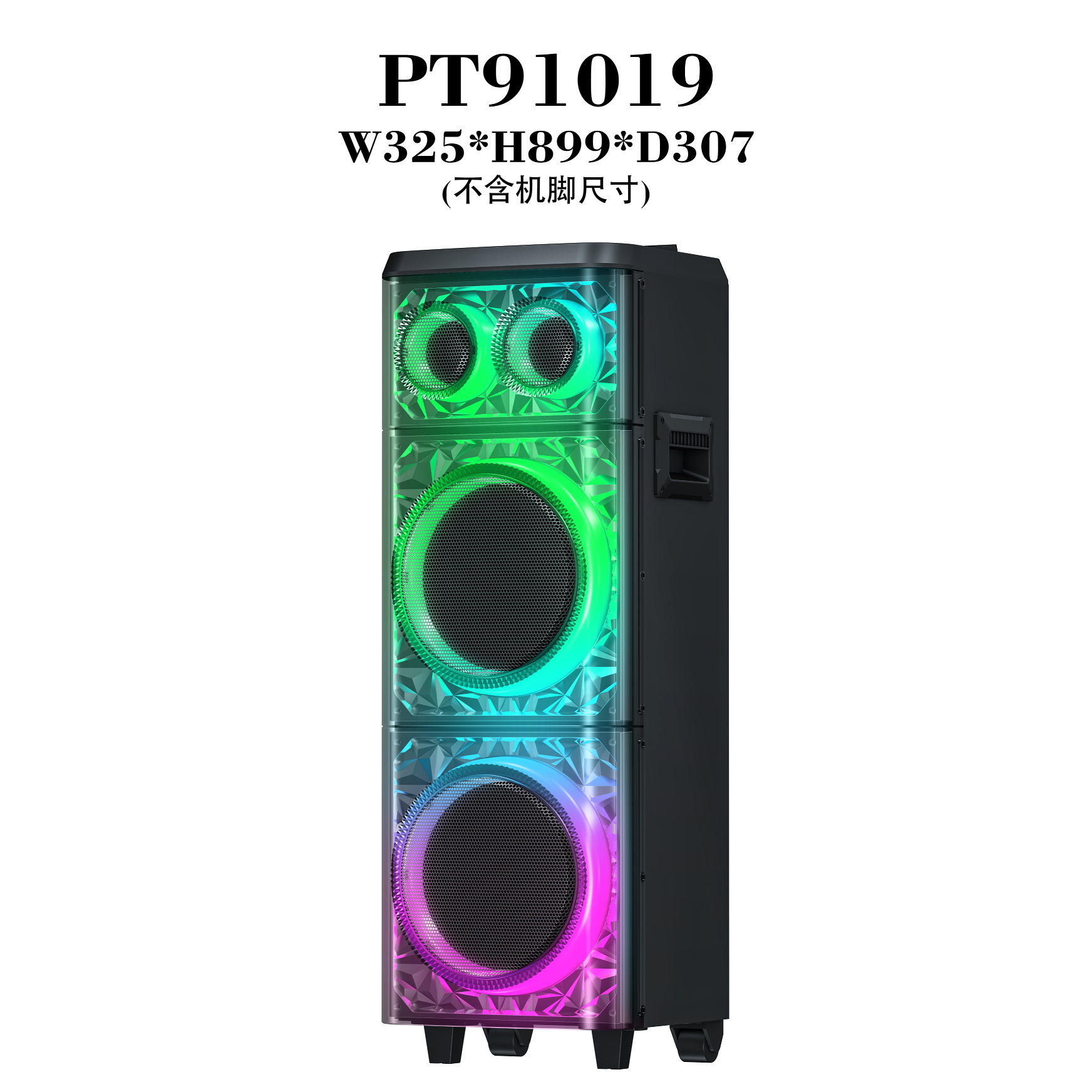 PT91019